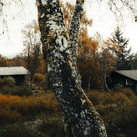 Ancarraig Lodges Drumnadrochit Exterior foto